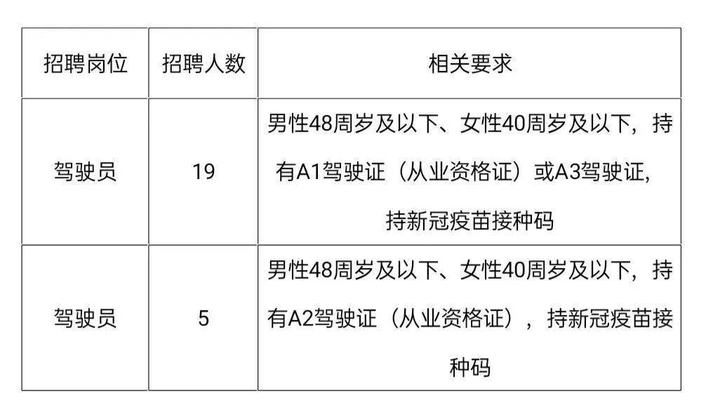 塘下駕駛員最新招聘，探尋小巷中的獨特風味人才招募啓事