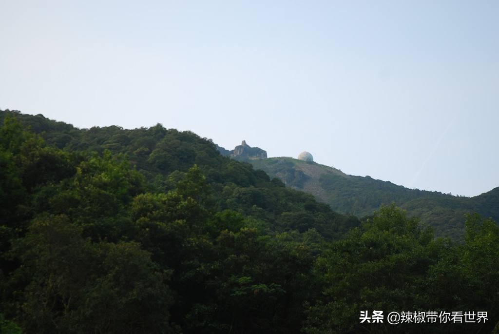 東海縣如意情最新招聘，引領科技潮流，開啓智能生活新篇章招聘啓事